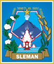 Logo Kab. Sleman